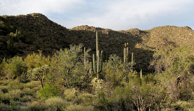 Ring's reflections: Primer on our mountains continues